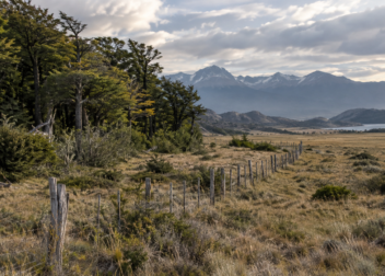 Imagen alusiva para Ley de Tierras Rurales: la Corte suspendió provisoriamente su derogación mientras avanza un amparo ambiental
