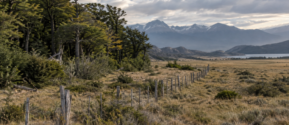 Imagen alusiva para Ley de Tierras Rurales: la Corte suspendió provisoriamente su derogación mientras avanza un amparo ambiental